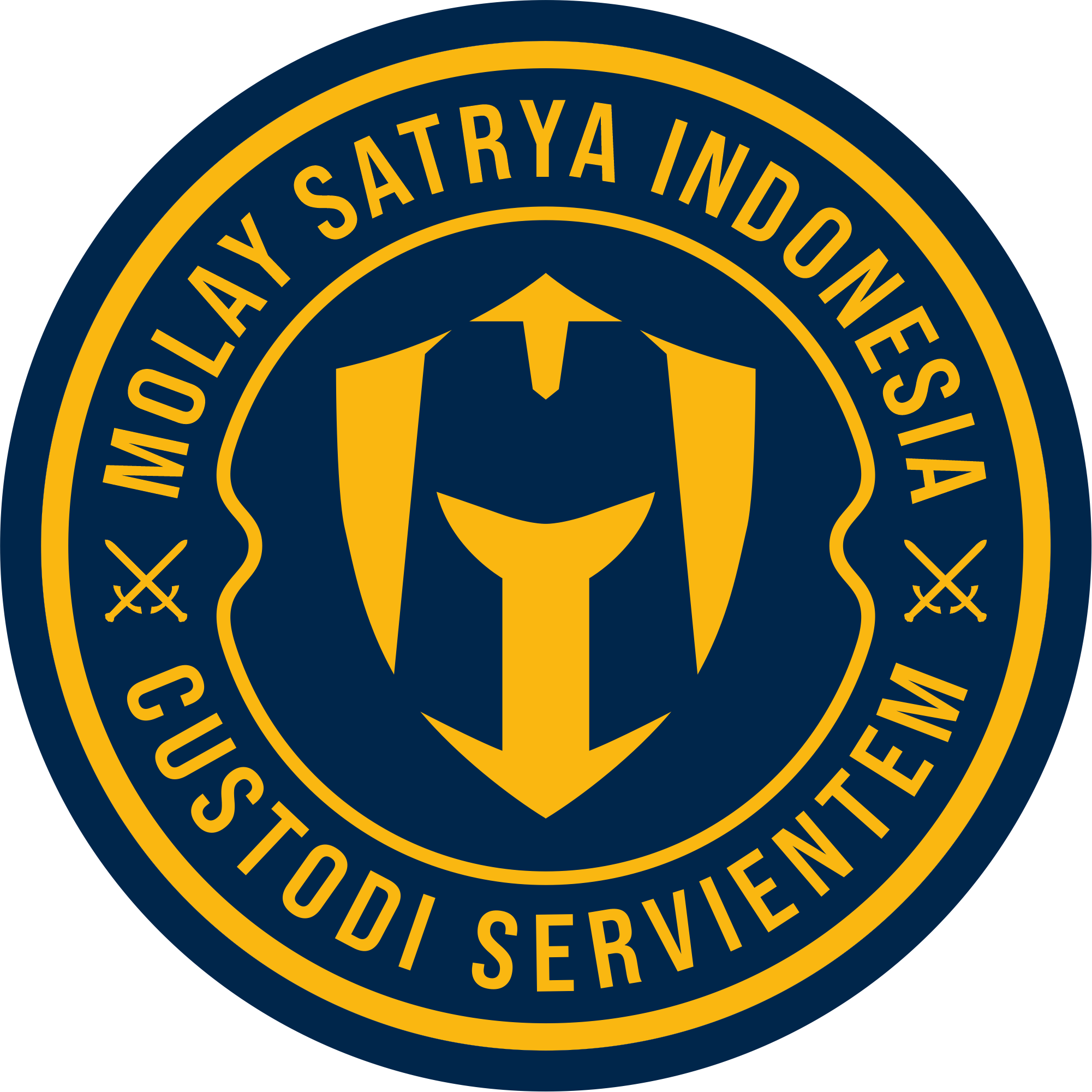 MSI