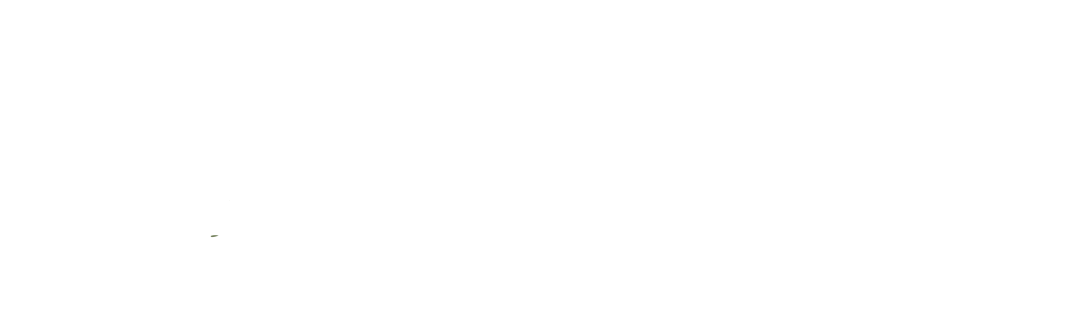 Reclaimed by Molay